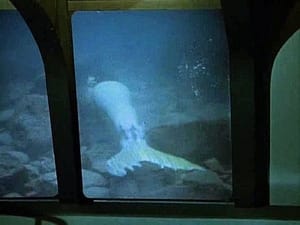 Voyage to the Bottom of the Sea Season 3 Ep.19 19. epizód