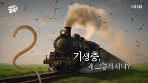 취미는 과학 1. évad Ep.28 28. epizód