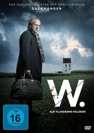 W. Witse: de film poszter