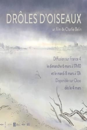 Drôles d'oiseaux poszter