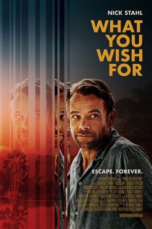 What You Wish For poszter
