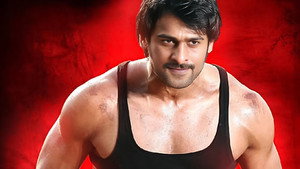 రెబెల్ háttérkép