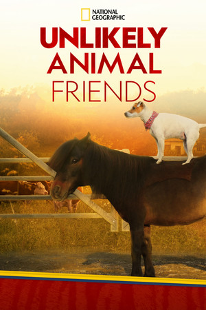 Unlikely Animal Friends poszter