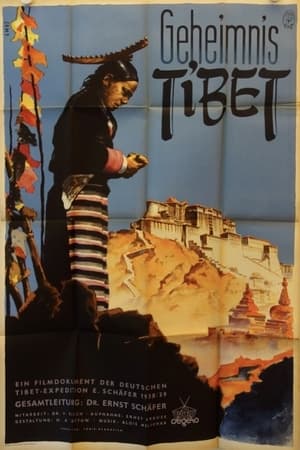 Geheimnis Tibet poszter