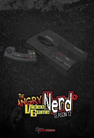 The Angry Video Game Nerd