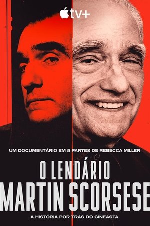 Mr. Scorsese poszter