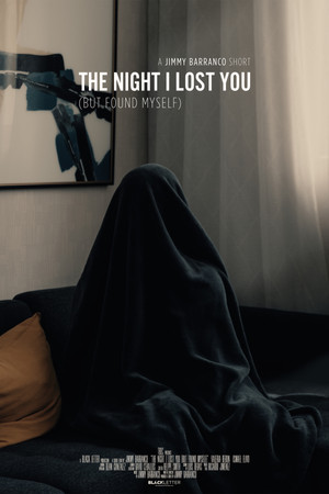 The Night I Lost You (But Found Myself) poszter