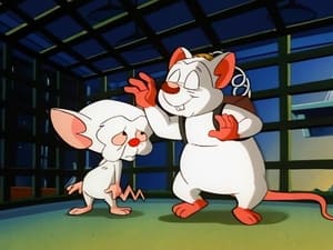 Pinky and the Brain 1. évad Ep.19 19. epizód