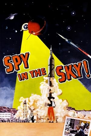 Spy in the Sky! poszter