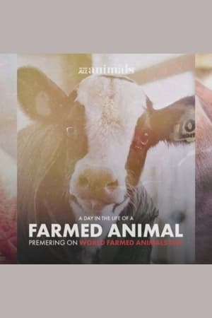 A Day in the Life of a Farmed Animal poszter