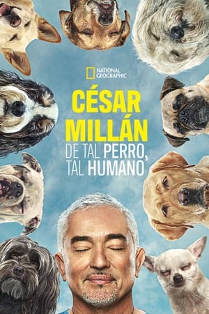 Cesar Millan: Jó gazdi, jó kutya poszter