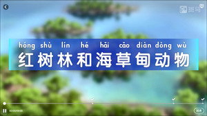 斑马百科 5. évad Ep.3 3. epizód