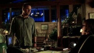NCIS: Los Angeles 4. évad Ep.22 A holló meg a hattyúk