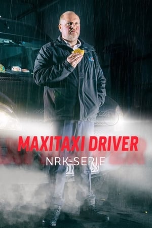 Maxitaxi Driver