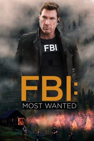 FBI: Most Wanted poszter