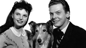 Challenge to Lassie háttérkép