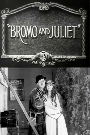 Bromo and Juliet poszter