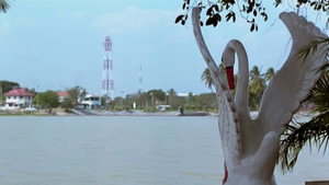 สัตว์ประหลาด háttérkép