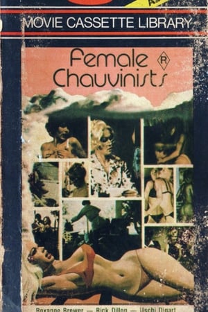 Female Chauvinists poszter