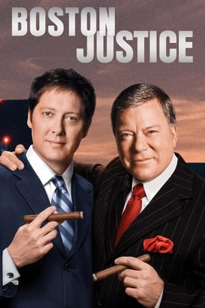 Boston Legal - Jogi játszmák poszter