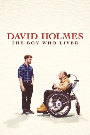 David Holmes: A túlélő poszter