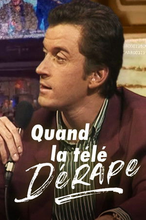 Quand la télé dérape, 40 ans de scandales poszter