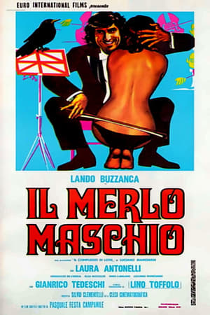 Il merlo maschio poszter