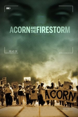 Acorn and the Firestorm poszter