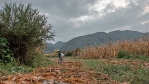 Semillas, el legado de la tierra háttérkép