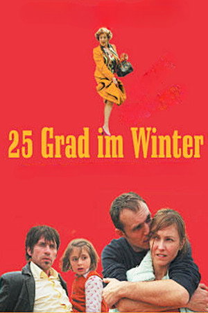 25 degrés en hiver poszter