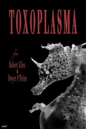 Toxoplasma poszter