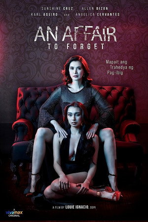 An Affair to Forget poszter