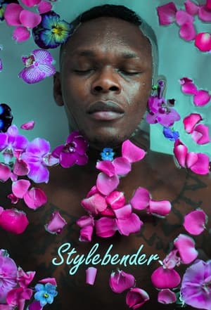 Stylebender poszter