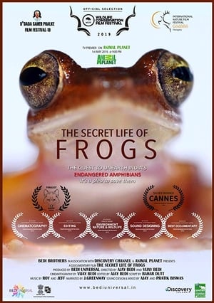 The Secret Life of Frogs poszter