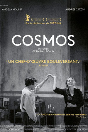 Cosmos poszter