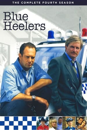 Blue Heelers