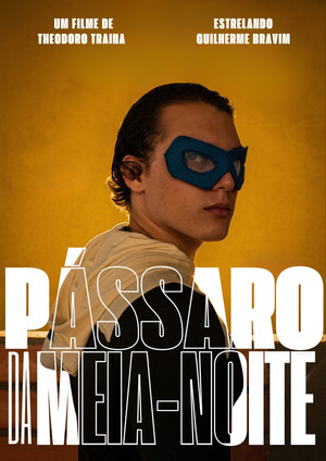 Pássaros da Meia noite poszter
