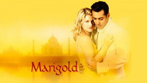 Marigold háttérkép