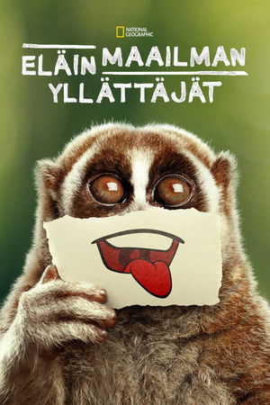 Bizarr természet poszter