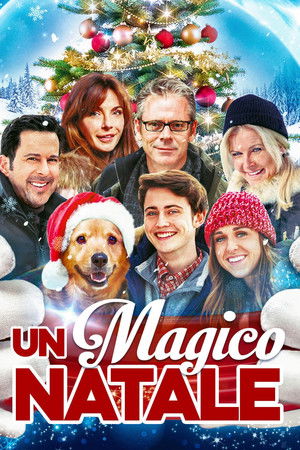 A Magic Christmas poszter
