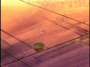 Beyblade 2. évad Ep.44 44. epizód