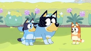 Bluey 3. évad Ep.12 Birtya