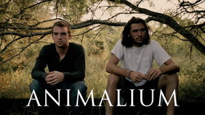 Animalium háttérkép