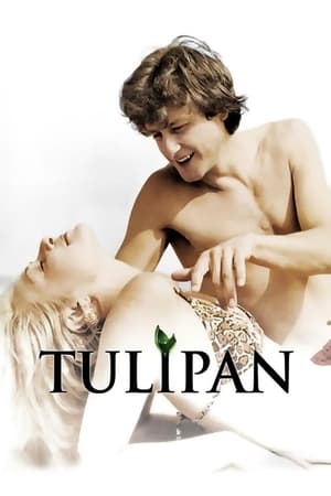 Tulipan poszter