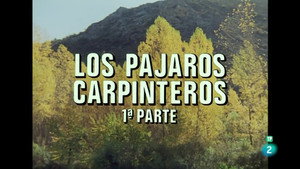 El hombre y la Tierra 2. évad Ep.38 38. epizód