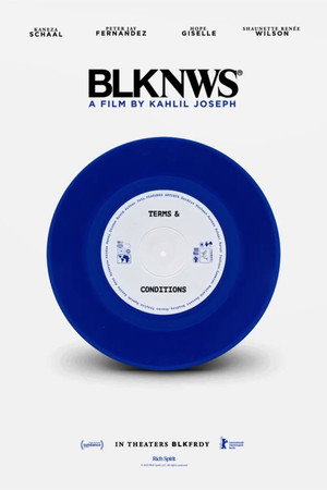 BLKNWS: Terms & Conditions poszter