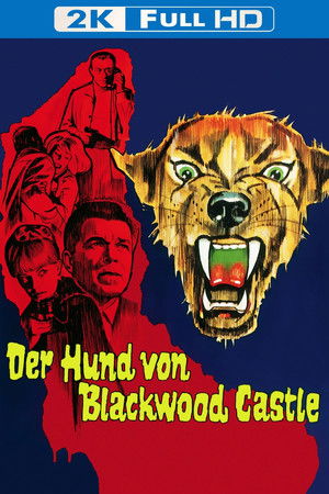 Der Hund von Blackwood Castle poszter