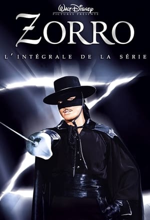 Zorro poszter