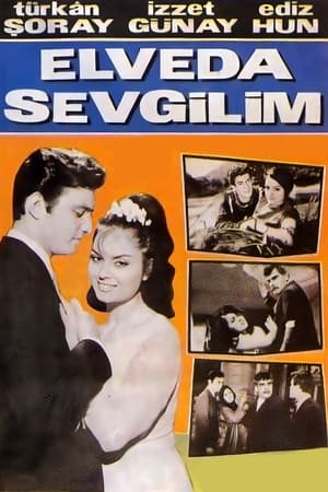 Elveda Sevgilim poszter