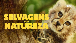 Born to Be Wild kép